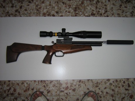 PUES ESTE EVANIX AR-6 PISTOL 5,5 PUESTA EN ORDEN POR OSCAR ( WIBOLS )SU ANTERIOR PROPIETARIO , ESTOY PENSANDO 10
