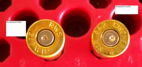 Llevo mucho tiempo recargando el 243 win para un rifle Ruger de cañon cortito con Ballistic Tip , 36gr 00