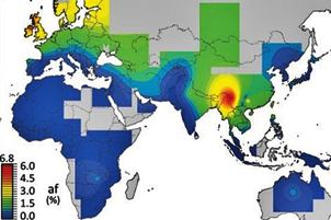  http://www.elmundo.es/elmundo/2011/09/05/ciencia/1315231139.html 

El evolucionismo de 60