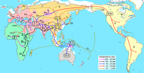  http://www.elmundo.es/elmundo/2011/09/05/ciencia/1315231139.html 

El evolucionismo de 140