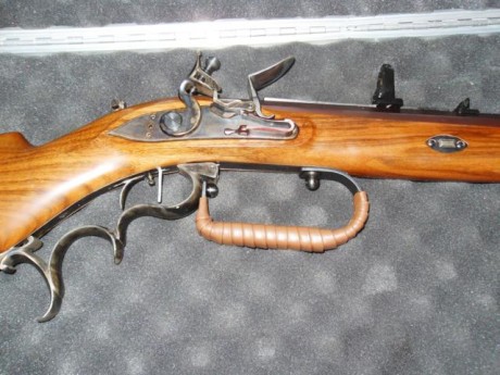 Bueno Sr entendidos, esta pregunta está dirigida a ellos. Que rifles de pedernal pueden utilizar la seta 11