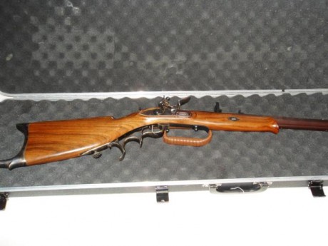 Bueno Sr entendidos, esta pregunta está dirigida a ellos. Que rifles de pedernal pueden utilizar la seta 10