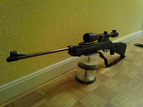 hola os muestro unas fotos de mi gamo shadow 1000 01