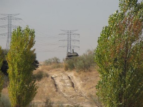 Las fotos son de esta misma mañana mientras daba un paseo por una vía pecuaria, eso si todas están hechas 12