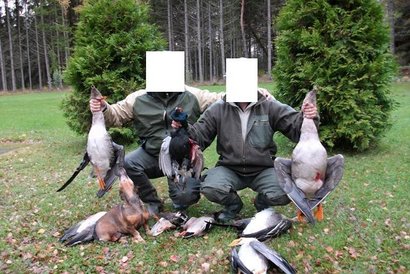 Hola a todos. 
Os pongo unas fotos de un amiguete que ha estado en Estonia el año pasado y este repite. 51
