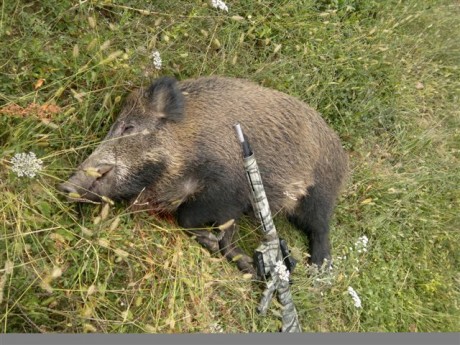   LOS ALMUERZOS DE CAZA MENOR NO CUENTAN Y LOS ABATES SIN FOTO TAMPOCO   

Voy a recordar las normas y 160