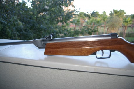 Pues resulta que ha venido a mis manos una de estas carabinas, no se cuantos años tendrá, y no sé por 01