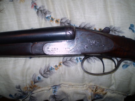hola a todos,podriais ayudarme a saber que modelo es la victor sarasqueta que tengo?es del calibre 12,extractora,se 00
