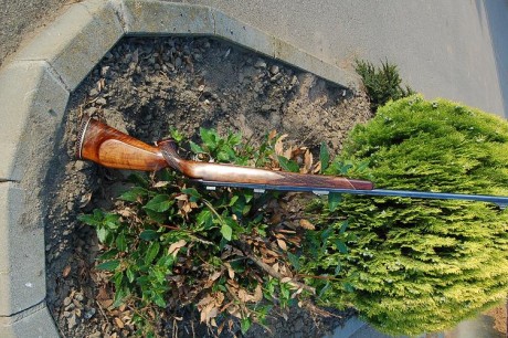 Hola; estoy sopesando la idea de comprar este rifle (el Marc K Accumarc), sé que en España quizá no sea 60