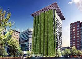 Están de moda los jardines verticales, me parece una genial alternativa para embellecer un poquito nuestras 02
