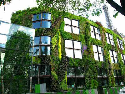 Están de moda los jardines verticales, me parece una genial alternativa para embellecer un poquito nuestras 01