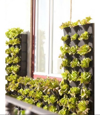 Están de moda los jardines verticales, me parece una genial alternativa para embellecer un poquito nuestras 00