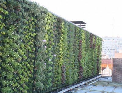 Están de moda los jardines verticales, me parece una genial alternativa para embellecer un poquito nuestras 12