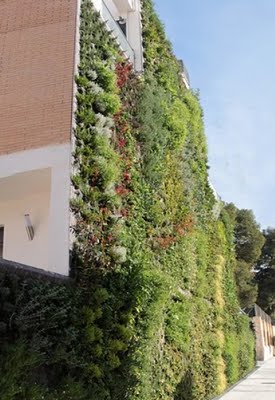 Están de moda los jardines verticales, me parece una genial alternativa para embellecer un poquito nuestras 10