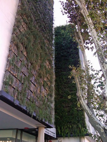 Están de moda los jardines verticales, me parece una genial alternativa para embellecer un poquito nuestras 51