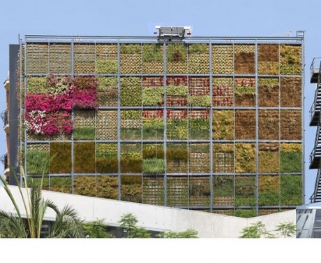 Están de moda los jardines verticales, me parece una genial alternativa para embellecer un poquito nuestras 50