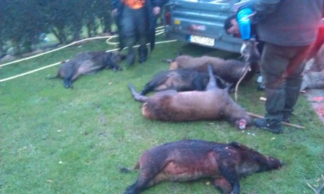   LOS ALMUERZOS DE CAZA MENOR NO CUENTAN Y LOS ABATES SIN FOTO TAMPOCO   

Voy a recordar las normas y 172