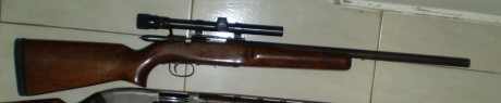 Estimados amigos, estoy a punto de adquirir este rifle, obviamente es algo antiguo, pero no estoy muy 00