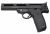 hola a todos,¿se pueden poner cachas anatomicas a la SMITH & WESSON mod. 22A - 22LR? y en caso de 00