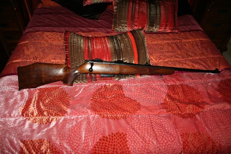 Hola compañeros:

Tengo un rifle Carl Gustaf cal. 308 y por mas vueltas que doy, no logro encontrar informacion 20