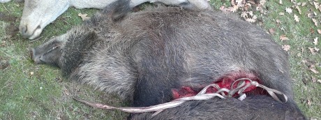   LOS ALMUERZOS DE CAZA MENOR NO CUENTAN Y LOS ABATES SIN FOTO TAMPOCO   

Voy a recordar las normas y 20
