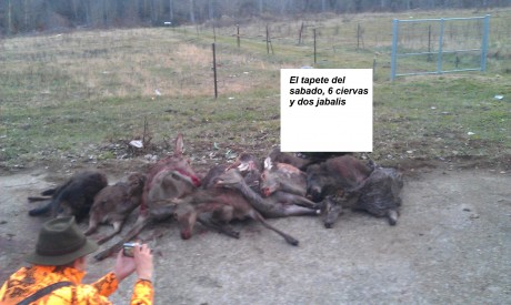   LOS ALMUERZOS DE CAZA MENOR NO CUENTAN Y LOS ABATES SIN FOTO TAMPOCO   

Voy a recordar las normas y 152