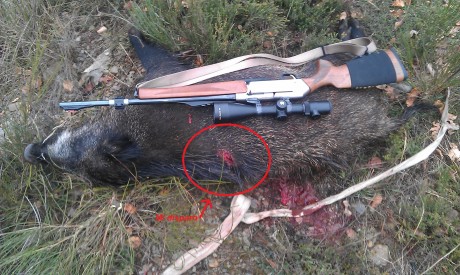   LOS ALMUERZOS DE CAZA MENOR NO CUENTAN Y LOS ABATES SIN FOTO TAMPOCO   

Voy a recordar las normas y 151