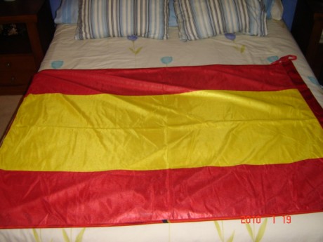 Hola:

Publico esta foto en esta sección pues no puede ser vista por personas ajenas al foro.

La bandera 60