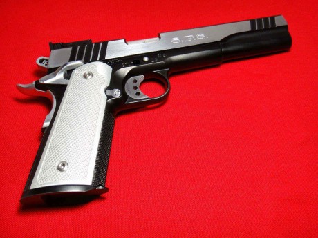 Buenas tardes, me gustaría que algunos de los expertos que hay en este foro sobre armas cortas, me asesorara 50