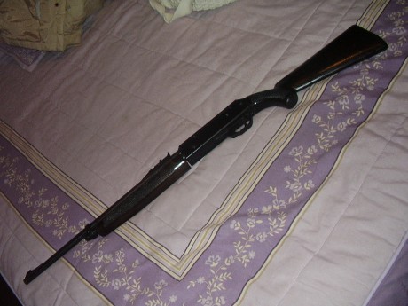 Buenas tardes

El otro día un buen amigo, me regalo esta carabina que tenía abandonada en un rincón.

Es 02