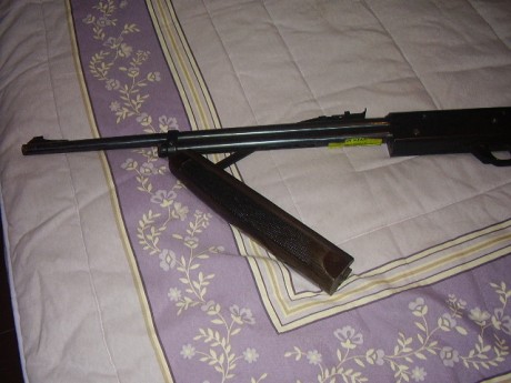 Buenas tardes

El otro día un buen amigo, me regalo esta carabina que tenía abandonada en un rincón.

Es 01
