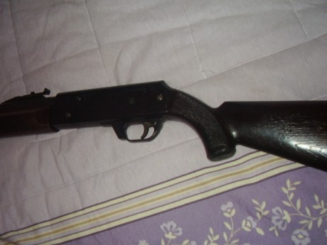 Buenas tardes

El otro día un buen amigo, me regalo esta carabina que tenía abandonada en un rincón.

Es 00