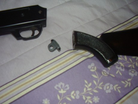 Buenas tardes

El otro día un buen amigo, me regalo esta carabina que tenía abandonada en un rincón.

Es 12