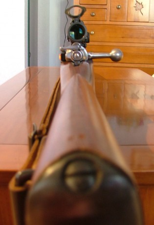 Muy buenas,

Ha caido en mis manos un Mauser Coruña en un estado excelente, sin disparar diría yo, conserva 162