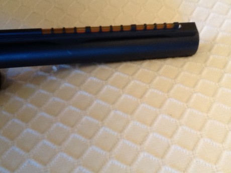 Vendo BENELLI NOVA de corredera. Con 2 cañones, el original de calibre 12 con punta de fibra optica y 21