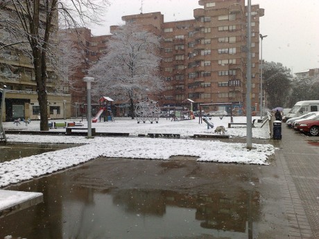 Hola a tod@s.
Pues ya está aquí y deja bonitas estampas.Mucha precaución a los conductores.
 02022012186.jpg 11