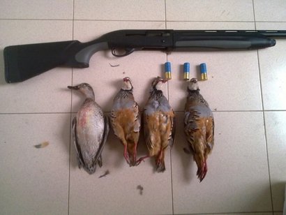 Hola compis. 
Os cuento el lance de ayer porque tiene tela marinera. De alguna manera me da hasta vergüenza 20