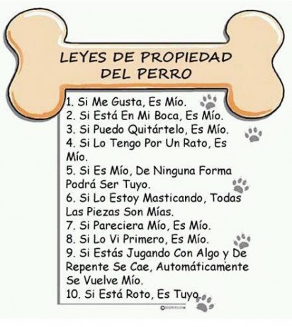 Pues eso, que cada vez que lo veo y miro a mis perros me descojono :mrgreen:  :mrgreen:  :mrgreen:  :mrgreen: 00
