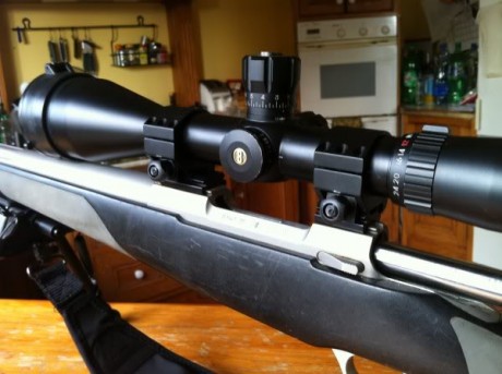 saludos

estoy interesado en montarle a mi SAKO 75 7MRMag. el visor LEATHERWOOD Camputer ART M-1000 2.5-10x44 10