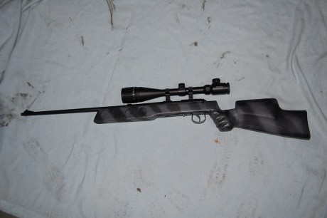 ospresento mi primera 22 lr, se que sera de los mas malo, al menos lo mas barato si que es, de todas maneras 80