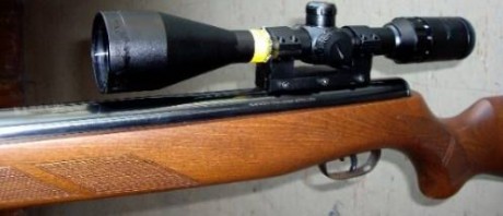 por lo visto esta variante del modelo gamo hunter solo se vende en usa. 41