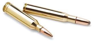 buenas de nuevo. despues de que me aconsejarais en el rifle,calibre y culata ahora necesito otra vez de 110