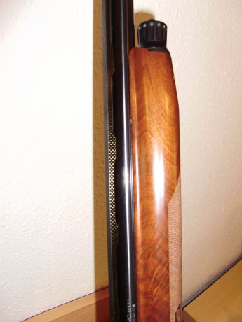 Josep, esta mañana he estado probando, aquí en Texas, la nueva Browning A5 de un compañero del club. Puedo 110