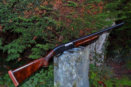  Remington 1100 viviendo en el Olimpo 

Si la Auto-5 es el embrión de todas las escopetas inerciales, 12