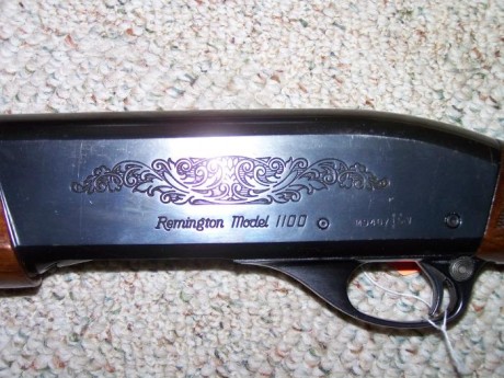  Remington 1100 viviendo en el Olimpo 

Si la Auto-5 es el embrión de todas las escopetas inerciales, 10
