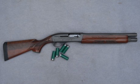  Remington 1100 viviendo en el Olimpo 

Si la Auto-5 es el embrión de todas las escopetas inerciales, 51