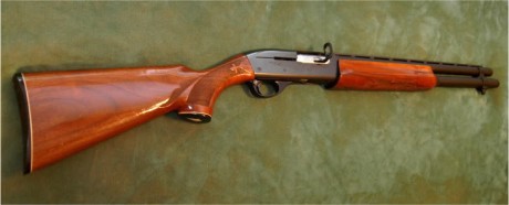  Remington 1100 viviendo en el Olimpo 

Si la Auto-5 es el embrión de todas las escopetas inerciales, 50