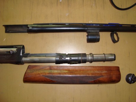  Remington 1100 viviendo en el Olimpo 

Si la Auto-5 es el embrión de todas las escopetas inerciales, 62