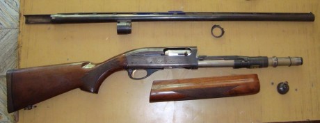  Remington 1100 viviendo en el Olimpo 

Si la Auto-5 es el embrión de todas las escopetas inerciales, 61