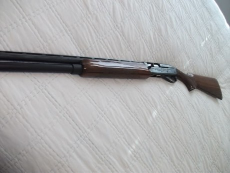  Remington 1100 viviendo en el Olimpo 

Si la Auto-5 es el embrión de todas las escopetas inerciales, 60